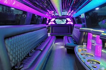 Berwyn Limo Interior